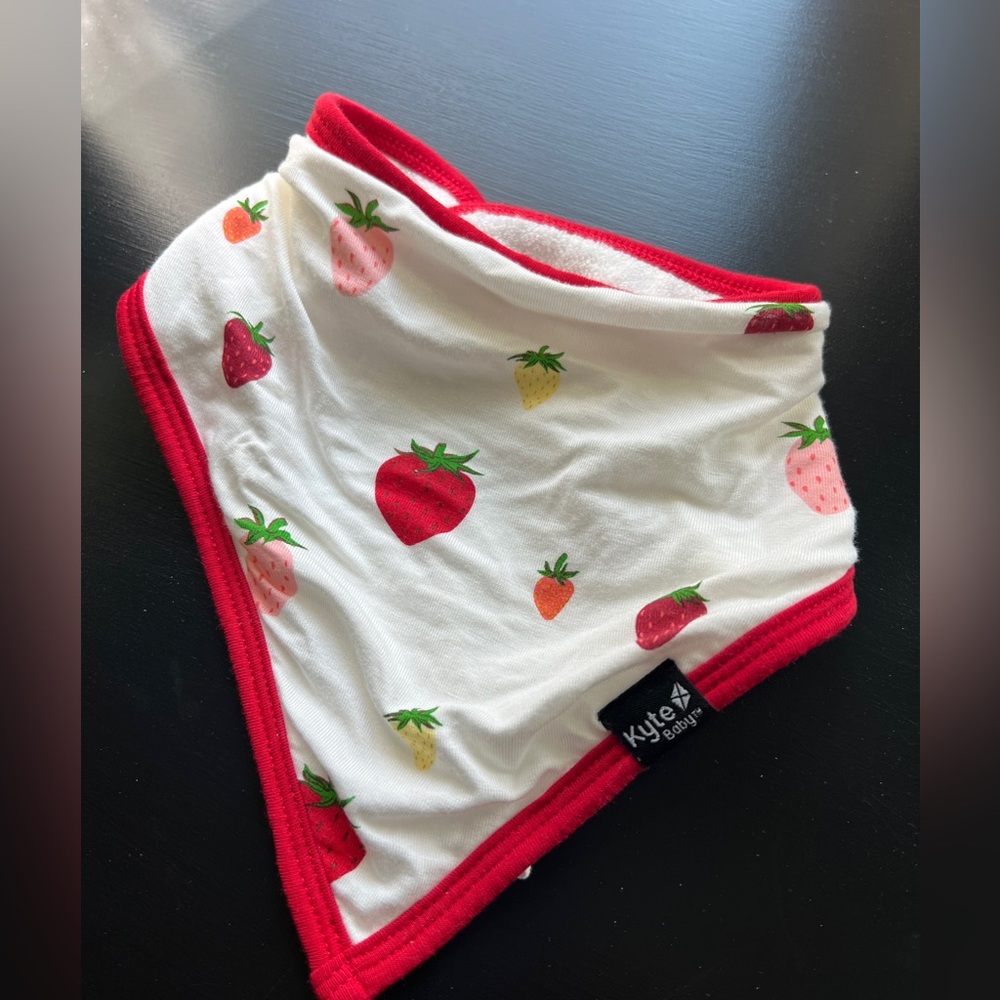 EUC Kyte Baby Strawberry Bib